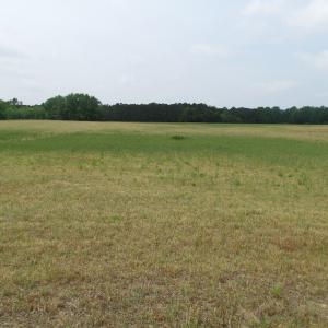 Photo of UNDER CONTRACT!  17 Acres of Farm Land For Sale in Southampton County VA!