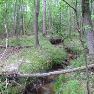 Photo of UNDER CONTRACT!  17 Acres of Farm Land For Sale in Southampton County VA!