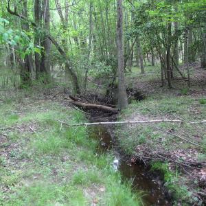 Photo of UNDER CONTRACT!  17 Acres of Farm Land For Sale in Southampton County VA!