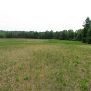Photo of UNDER CONTRACT!  17 Acres of Farm Land For Sale in Southampton County VA!