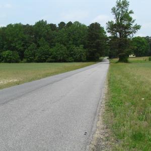 Photo of UNDER CONTRACT!  17 Acres of Farm Land For Sale in Southampton County VA!