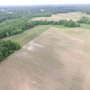 Photo of UNDER CONTRACT!  14 Acres of Farm Land For Sale in Southampton County VA!
