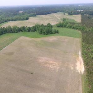 Photo of UNDER CONTRACT!  14 Acres of Farm Land For Sale in Southampton County VA!