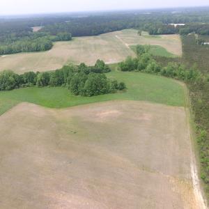 Photo of UNDER CONTRACT!  14 Acres of Farm Land For Sale in Southampton County VA!