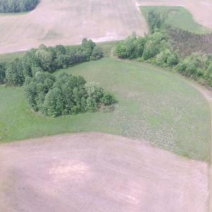 Photo of UNDER CONTRACT!  14 Acres of Farm Land For Sale in Southampton County VA!
