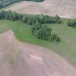 Photo of UNDER CONTRACT!  14 Acres of Farm Land For Sale in Southampton County VA!
