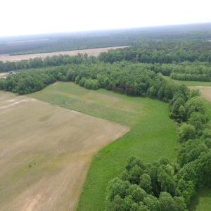Photo of UNDER CONTRACT!  14 Acres of Farm Land For Sale in Southampton County VA!