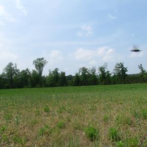 Photo of UNDER CONTRACT!  14 Acres of Farm Land For Sale in Southampton County VA!