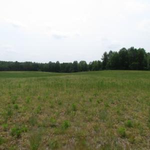 Photo of UNDER CONTRACT!  14 Acres of Farm Land For Sale in Southampton County VA!