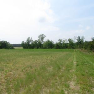 Photo of UNDER CONTRACT!  14 Acres of Farm Land For Sale in Southampton County VA!