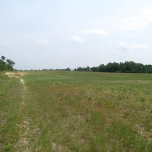 Photo of UNDER CONTRACT!  14 Acres of Farm Land For Sale in Southampton County VA!