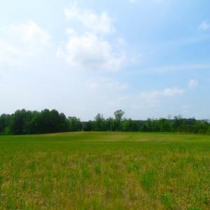 Photo of UNDER CONTRACT!  14 Acres of Farm Land For Sale in Southampton County VA!