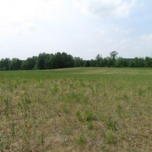 Photo of UNDER CONTRACT!  14 Acres of Farm Land For Sale in Southampton County VA!