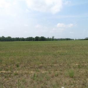 Photo of UNDER CONTRACT!  14 Acres of Farm Land For Sale in Southampton County VA!