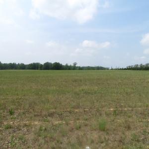 Photo of UNDER CONTRACT!  14 Acres of Farm Land For Sale in Southampton County VA!