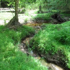 Photo of UNDER CONTRACT!  14 Acres of Farm Land For Sale in Southampton County VA!