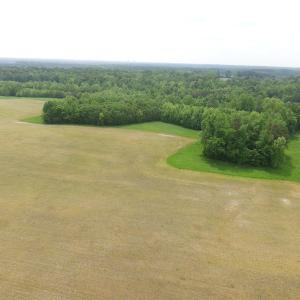 Photo of SOLD!  30 Acres of Hunting and Farm Land For Sale in Southampton County VA!