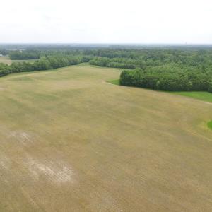 Photo of SOLD!  30 Acres of Hunting and Farm Land For Sale in Southampton County VA!