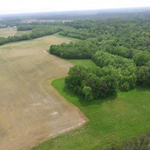 Photo of SOLD!  30 Acres of Hunting and Farm Land For Sale in Southampton County VA!