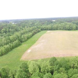 Photo of SOLD!  30 Acres of Hunting and Farm Land For Sale in Southampton County VA!