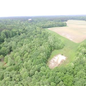 Photo of SOLD!  30 Acres of Hunting and Farm Land For Sale in Southampton County VA!