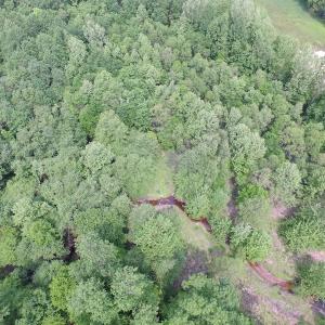 Photo of SOLD!  30 Acres of Hunting and Farm Land For Sale in Southampton County VA!