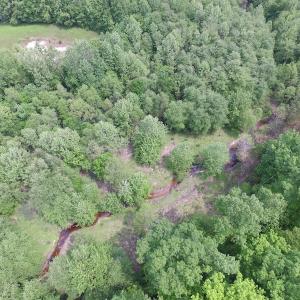 Photo of SOLD!  30 Acres of Hunting and Farm Land For Sale in Southampton County VA!