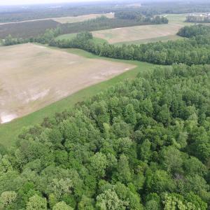 Photo of SOLD!  30 Acres of Hunting and Farm Land For Sale in Southampton County VA!
