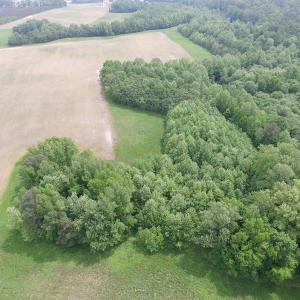 Photo of SOLD!  30 Acres of Hunting and Farm Land For Sale in Southampton County VA!