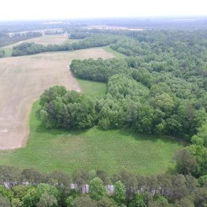 Photo of SOLD!  30 Acres of Hunting and Farm Land For Sale in Southampton County VA!