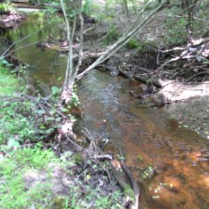Photo of SOLD!  30 Acres of Hunting and Farm Land For Sale in Southampton County VA!