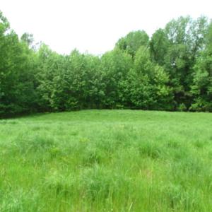 Photo of SOLD!  30 Acres of Hunting and Farm Land For Sale in Southampton County VA!
