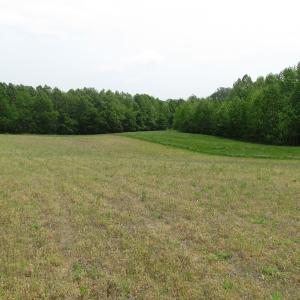 Photo of SOLD!  30 Acres of Hunting and Farm Land For Sale in Southampton County VA!