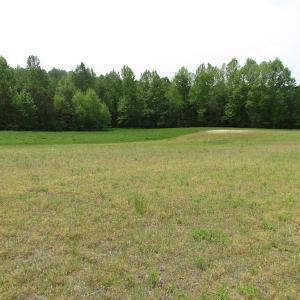 Photo of SOLD!  30 Acres of Hunting and Farm Land For Sale in Southampton County VA!