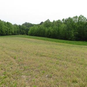 Photo of SOLD!  30 Acres of Hunting and Farm Land For Sale in Southampton County VA!