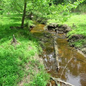 Photo of SOLD!  30 Acres of Hunting and Farm Land For Sale in Southampton County VA!