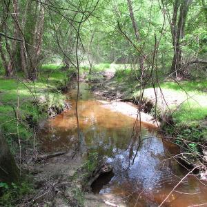 Photo of SOLD!  30 Acres of Hunting and Farm Land For Sale in Southampton County VA!