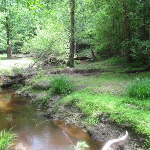 Photo of SOLD!  30 Acres of Hunting and Farm Land For Sale in Southampton County VA!