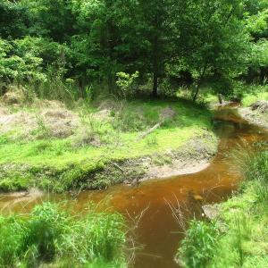 Photo of SOLD!  30 Acres of Hunting and Farm Land For Sale in Southampton County VA!