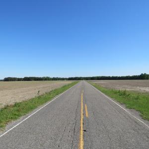 Photo of UNDER CONTRACT!  380 Acres of Farm and Timber Land For Sale in Robeson and Hoke Counties!