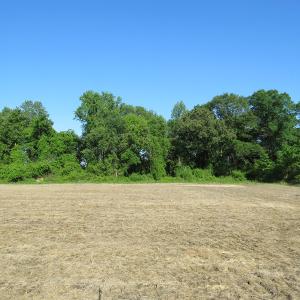 Photo of UNDER CONTRACT!  380 Acres of Farm and Timber Land For Sale in Robeson and Hoke Counties!
