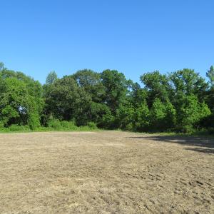 Photo of UNDER CONTRACT!  380 Acres of Farm and Timber Land For Sale in Robeson and Hoke Counties!