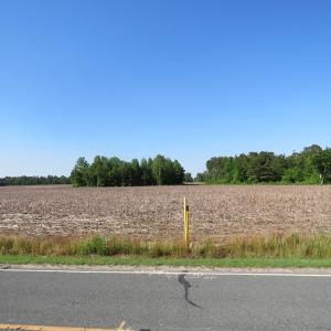 Photo of UNDER CONTRACT!  380 Acres of Farm and Timber Land For Sale in Robeson and Hoke Counties!