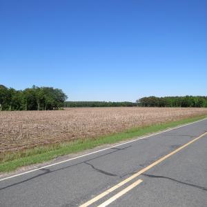 Photo of UNDER CONTRACT!  380 Acres of Farm and Timber Land For Sale in Robeson and Hoke Counties!