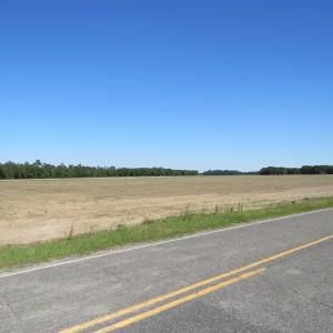 Photo of UNDER CONTRACT!  380 Acres of Farm and Timber Land For Sale in Robeson and Hoke Counties!
