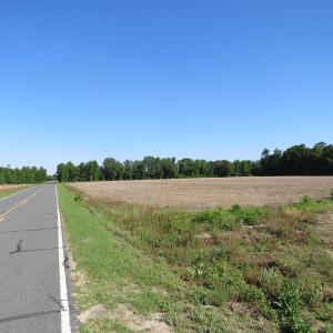 Photo of UNDER CONTRACT!  380 Acres of Farm and Timber Land For Sale in Robeson and Hoke Counties!