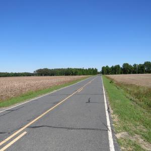 Photo of UNDER CONTRACT!  380 Acres of Farm and Timber Land For Sale in Robeson and Hoke Counties!