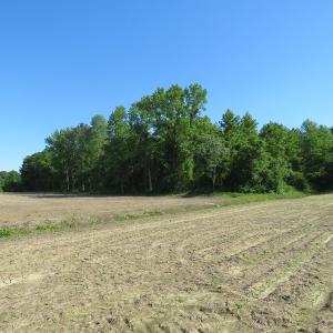 Photo of UNDER CONTRACT!  380 Acres of Farm and Timber Land For Sale in Robeson and Hoke Counties!