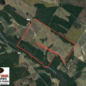 Photo of UNDER CONTRACT!  380 Acres of Farm and Timber Land For Sale in Robeson and Hoke Counties!