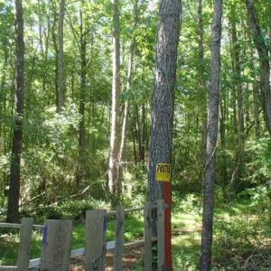 Photo of UNDER CONTRACT!  77 Acres of Riverfront Hunting Land For Sale in Nash County NC!